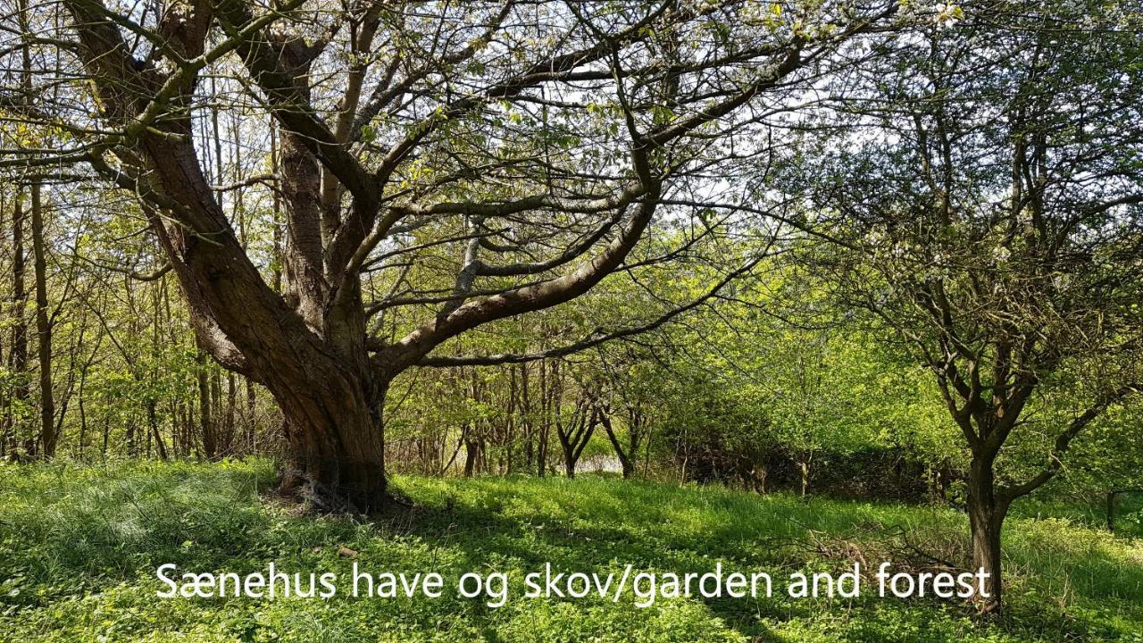 Saenehus Husmandssted Allinge-Sandvig Exterior foto